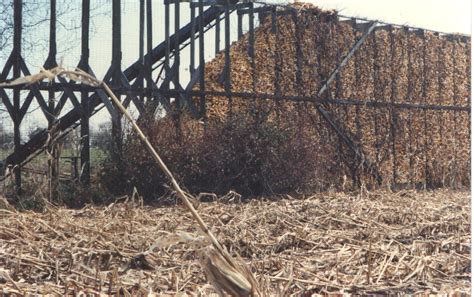 The Many Unsuccessful Attempts To Form An Ontario Grain Corn Marketing