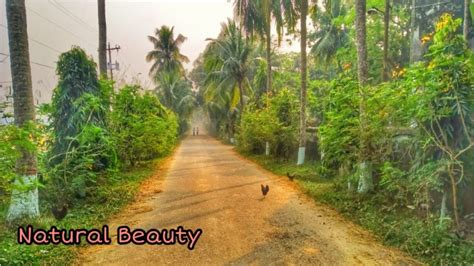 Badc Madhupur Tangail Natural Beauty Of Bangladesh 2019 Youtube