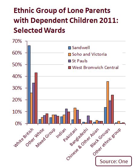 2011 Census Ethnicity Age And Hh Composition Sandwell Trends