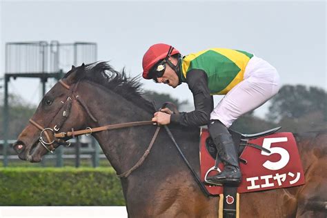 ニュージーランドt勝ち馬エエヤンは戸崎圭とのコンビ復活でnhkマイルカップへ東スポ競馬 Goo ニュース