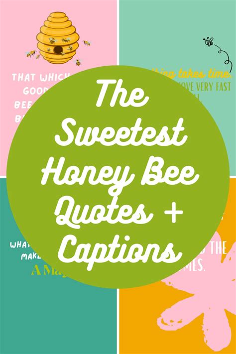 The Sweetest Honey Bee Quotes Captions Darling Quote