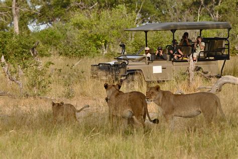 Game Drive Tours In Murchison Falls National Park