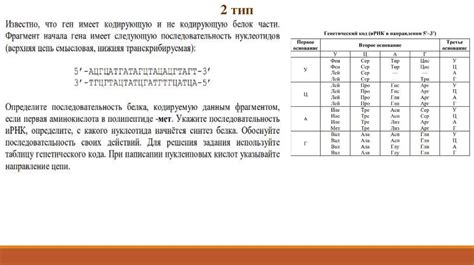Реакции матричного синтеза: репликация, трансляция, транскрипция ...