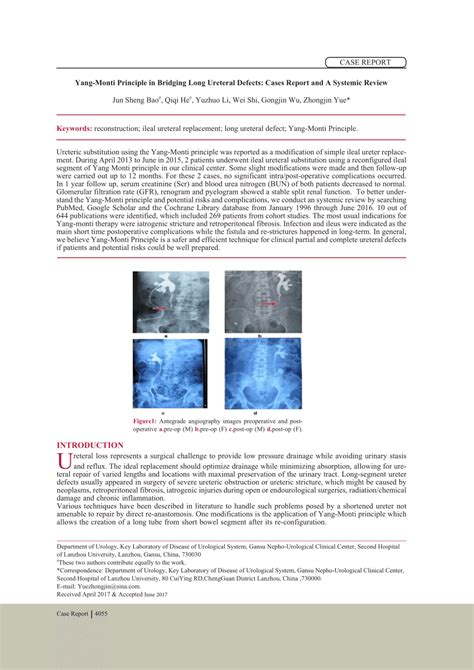 Pdf Yang Monti Principle In Bridging Long Ureteral Defects Cases