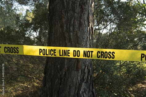 Crime Scene In The Forest Stock Photo Adobe Stock