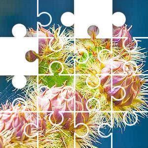 Daily Jigsaw Puzzle - Puzzle of the Day - JigZone.com