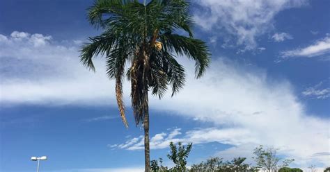 G Meteorologia Faz Alerta De Chuva Forte Na Quinta Para