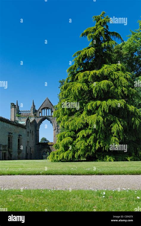 Newstead abbey gardens hi-res stock photography and images - Alamy