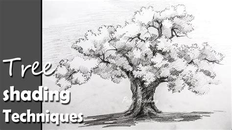 Pencil Drawing, How to Draw A Tree in Pencil with proper shading ...