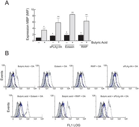 Effect OA On EoL 1 Cell Differentiation EoL 1 Cells Were Treated