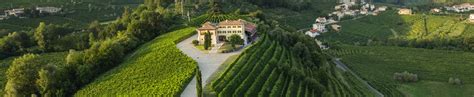 Buy Masi Wine - VINVM