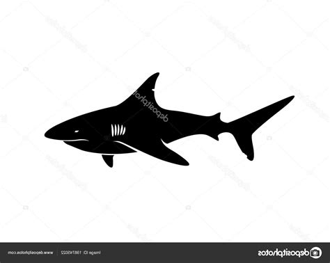 Shark Silhouette Vector at Vectorified.com | Collection of Shark ...