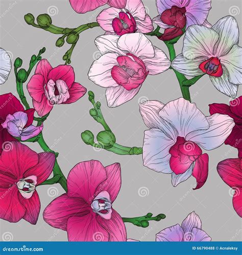 Tropic Floral Seamless Pattern With Hand Drawing Orchid Flowers Stock