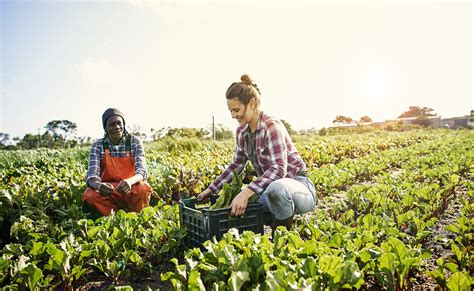 Sabes qué es la producción ecológica Te lo contamos en BBVA