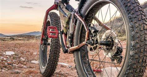 The 6 Best Fat Tire Electric Bikes - Reviews and Ratings for 2022