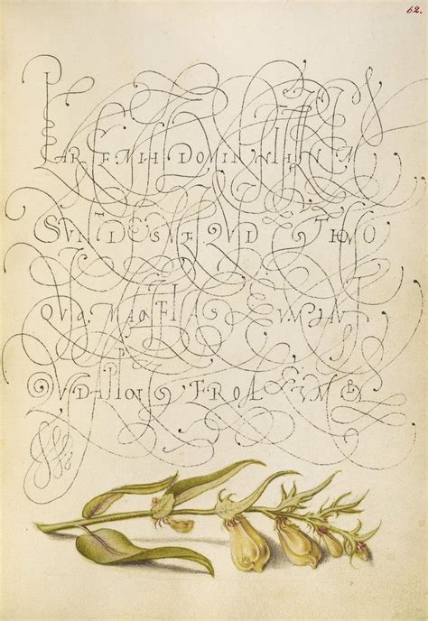 See a Dazzling, Exuberant Renaissance Calligraphy Guide | Illuminated ...