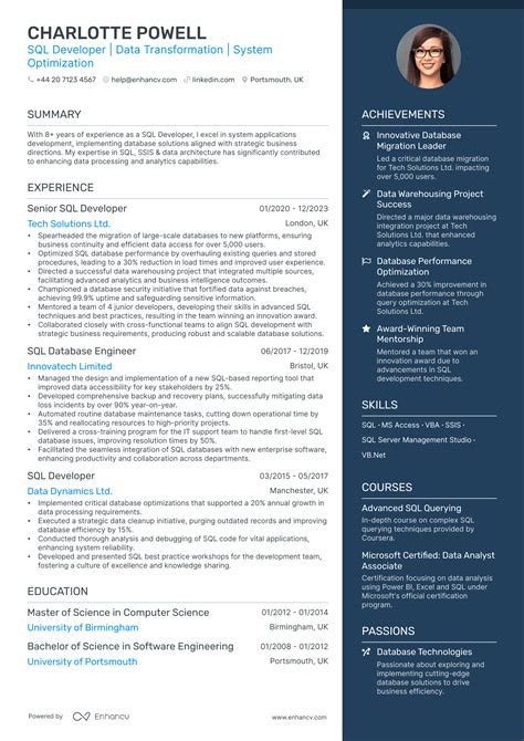 Sql Developer Cv Examples Guide For