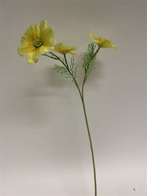 COSMEA XANTHOS GEEL 65 CM JIM JON KUNSTBLOEMEN Jim Jon