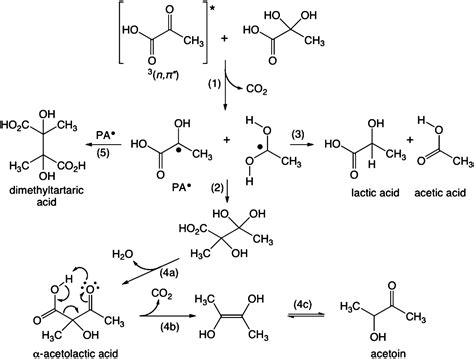 Photochemistry Of Aqueous Pyruvic Acid Pnas