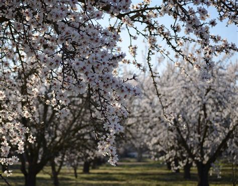 211 Stanislaus County