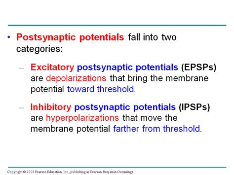 Generation Of Postsynaptic Potentials