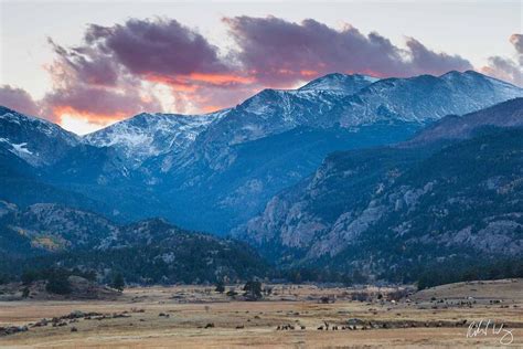 Moraine Park Rmnp Photo Richard Wong Photography