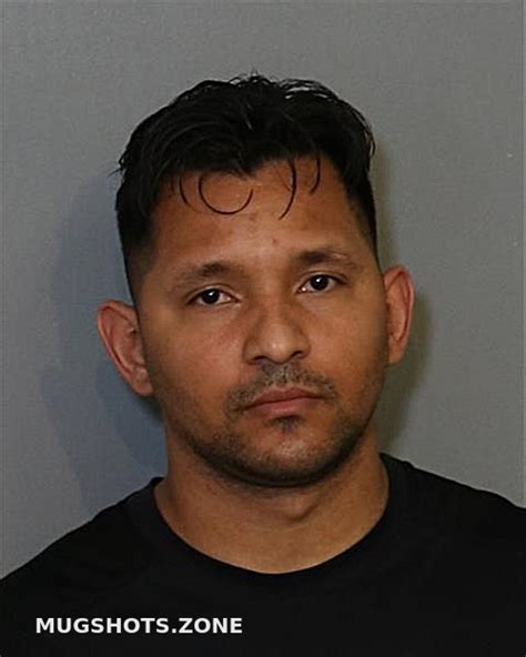 Pardo Cardenas Nestor Osceola County Mugshots Zone