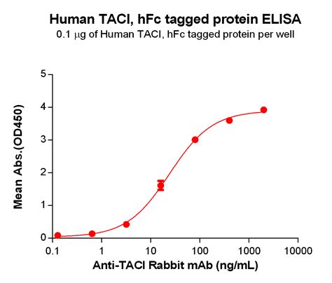 Human TACI Protein hFc Tag 专注肿瘤免疫