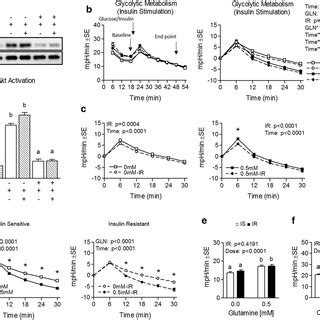 Effect Of Glutamine On Glycolytic Metabolism And Related MRNA