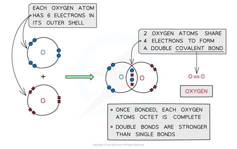 Oxygen Covalent Bond Diagram