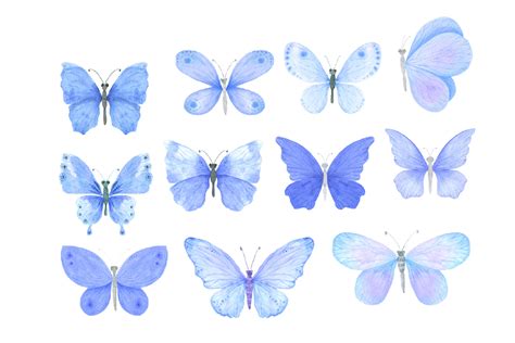 Butterfly Line Art Clip Art Image ClipSafari Clip Art Library