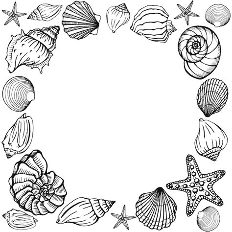 Premium Vector Seashells Frame Sea And Ocean Design Template Vector