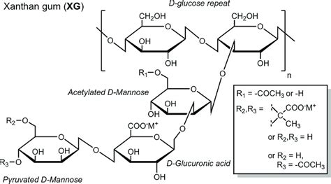 Structure of xanthan gum (XG) with sub-structural components denoted ...