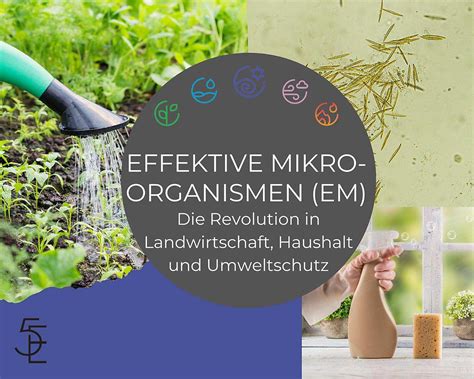 Effektive Mikroorganismen Em Nachhaltige Revolution In