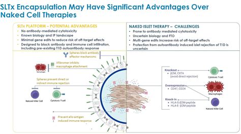 Creating The Next Cell Therapies For Diabetes Eric Bender