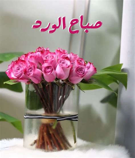 صباح الورد