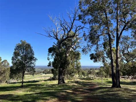 10 Best Trails And Hikes In Jarrahdale Alltrails