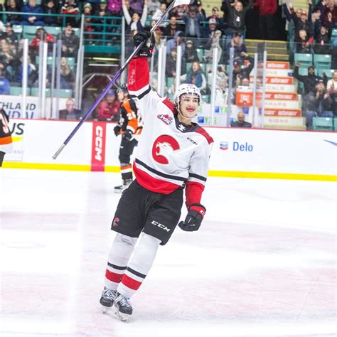 cougars parascak named whl rookie   week   time
