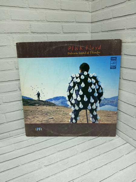 Виниловая пластинка Пинк Флойд Pink floyd live Delicate Sound of ...