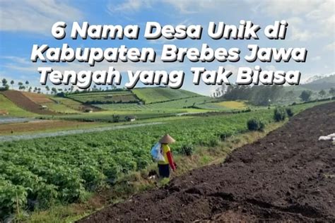 Warga Jawa Tengah Tahu Inilah 6 Nama Desa Unik Di Kabupaten Brebes