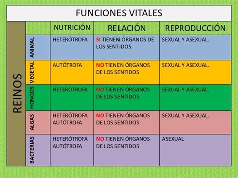 Ppt Funciones Vitales De Los Seres Vivos Powerpoint Presentation 3ab Images