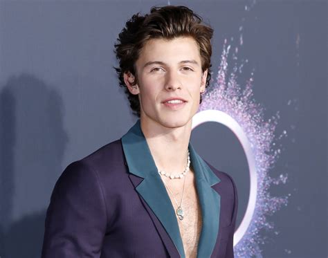 Shawn Mendes Opens Up About How He Spent Quarantine