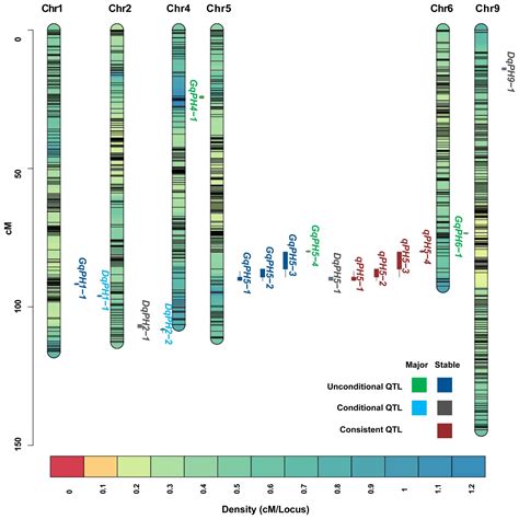 Frontiers Mapping Of Dynamic Quantitative Trait Loci For Plant Height