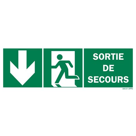 Panneau Sortie de Secours Recto Verso Picto Flèche Bas 60cm