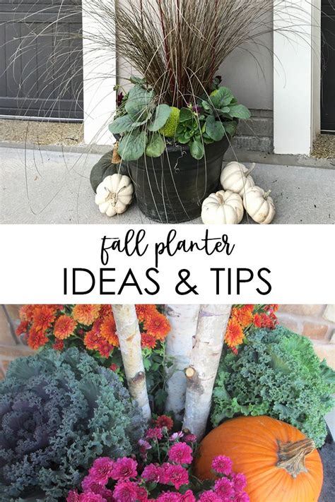 Beautiful Fall Planter Ideas And Tips To Keep Your Flower Pots Looking