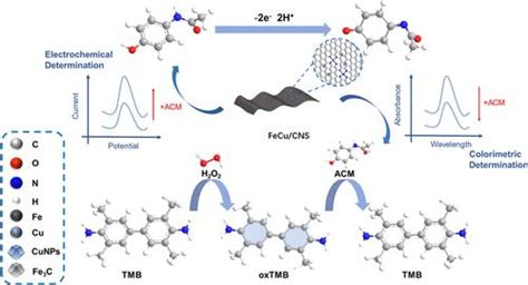 Fe、cu 共掺杂碳纳米片用于电化学比色检测对乙酰氨基酚acs Applied Nano Materials X Mol