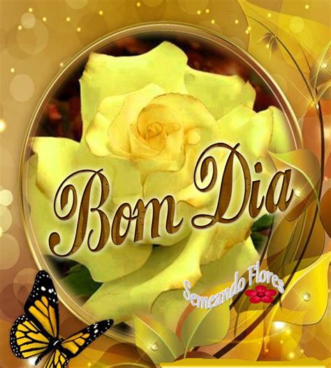 Semeando Flores Bom Dia - Pin de Cidinha Nóbrega em semeando flores | Bom dia com flores ...