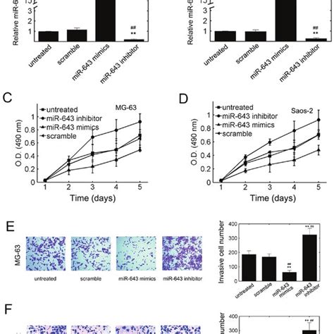 MiR 643 Transfection Inhibits Osteosarcoma Cell Proliferation And