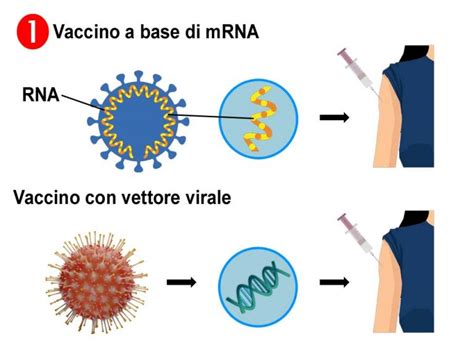 Vaccini Covid 19 Facciamo Un Po Di Chiarezza Biotechmed