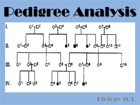 PPT - Pedigree Analysis PowerPoint Presentation, free download - ID:2348771